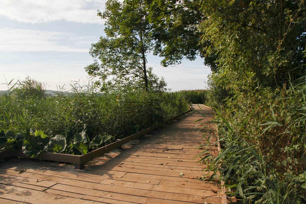 Terre D'O Villa Pecq Exterior photo